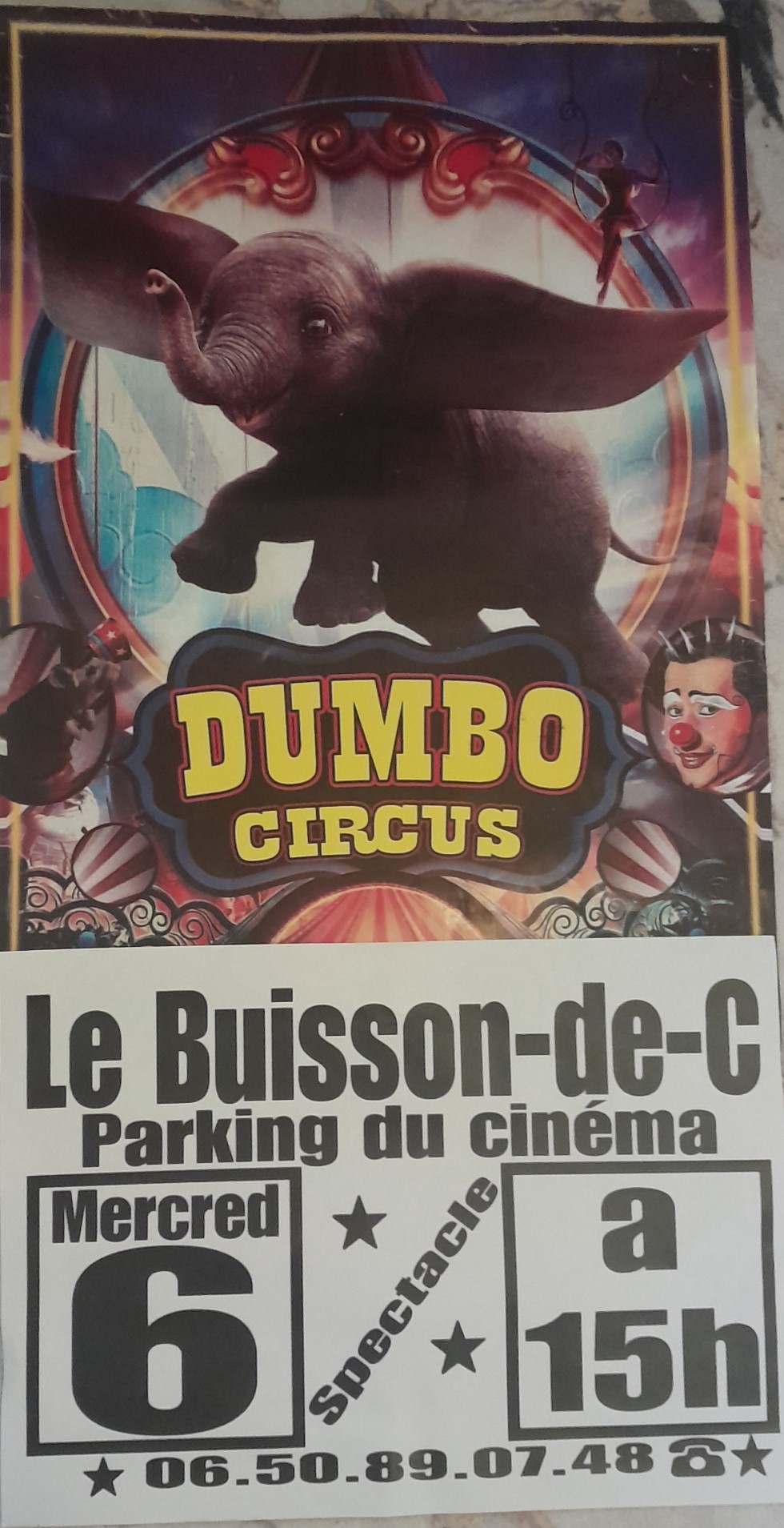 Dumbo circus